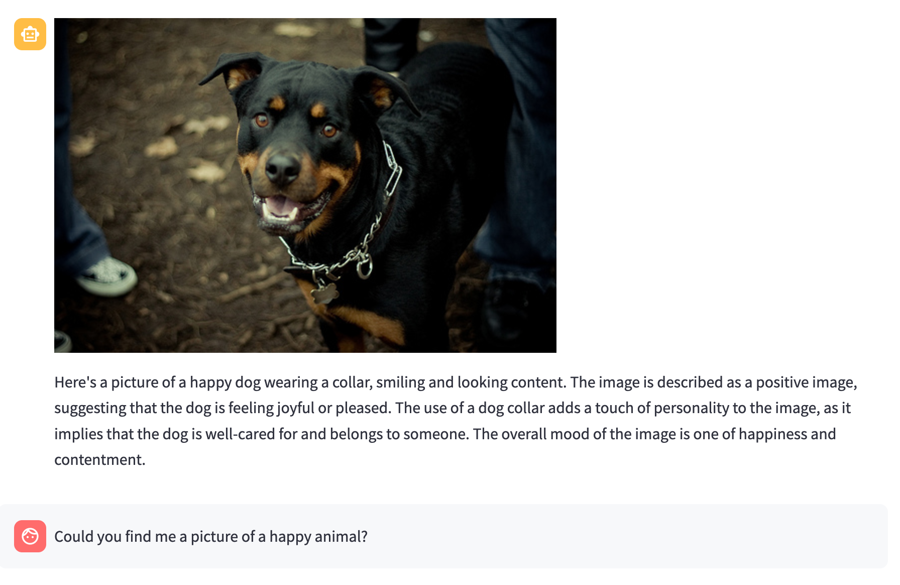 Example of image retrieval in the chat interface
